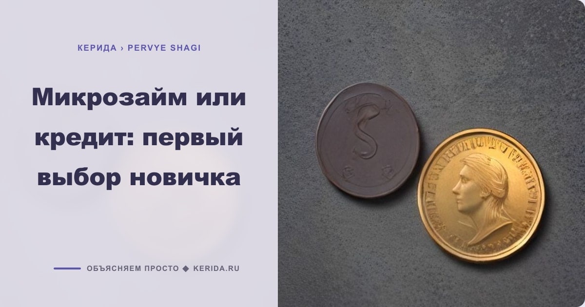 Иллюстрация к статье «Микрозайм или кредит: первый выбор новичка»